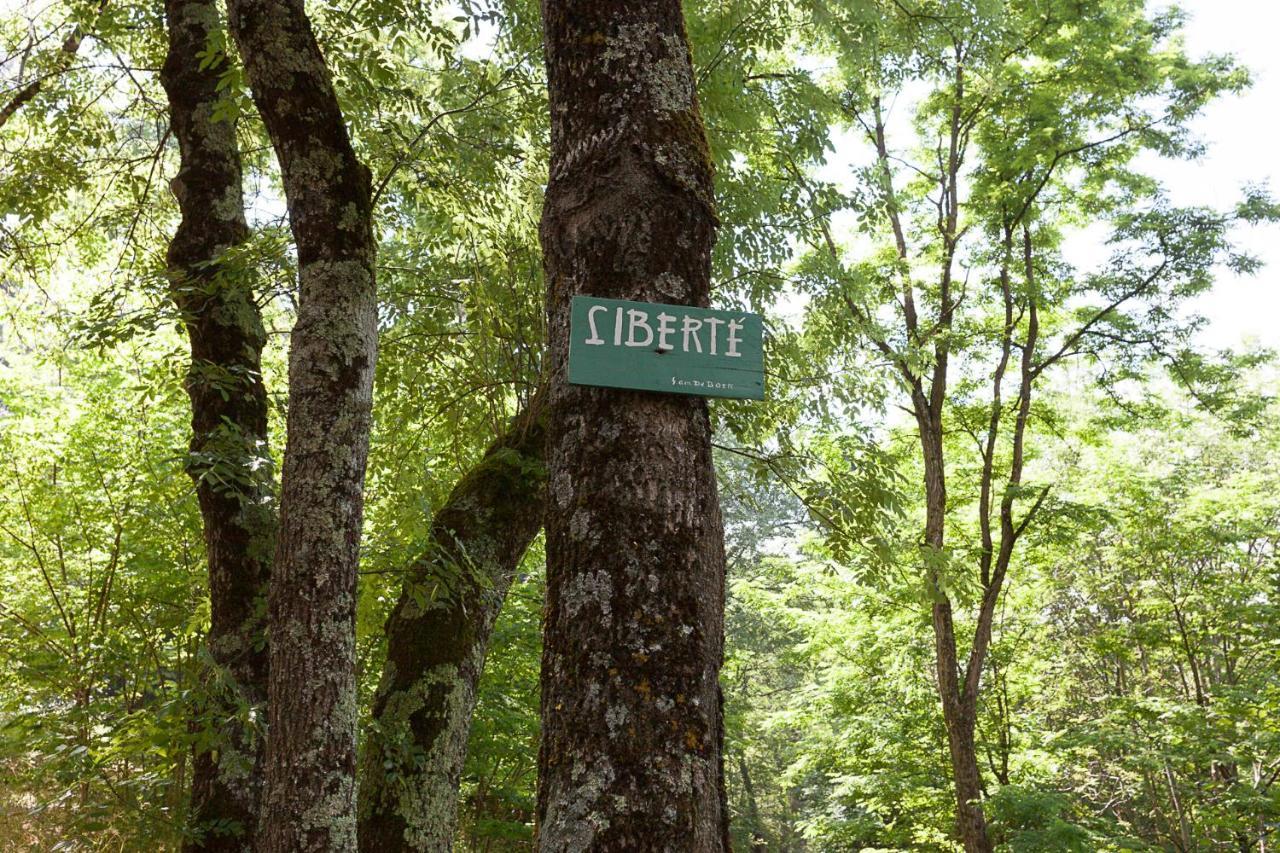 Villa Domaine Liberté avec prairie et forêt au bord d'une rivière en Ardèche Silhac Exterior foto